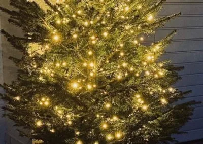 Adventskalenner 2020