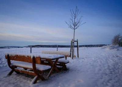 Paysage