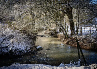 Paysage