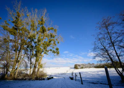 Paysage