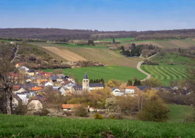Printemps 2021