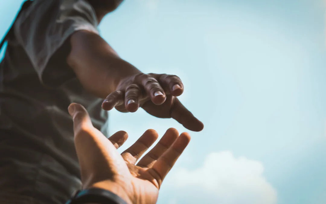 Informations relatives au revenu d&rsquo;inclusion sociale (REVIS)