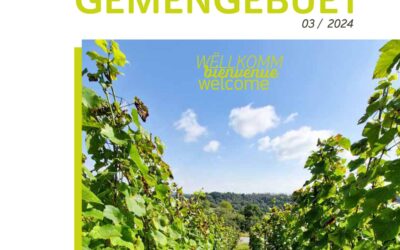 Gemengebuet 3/2024