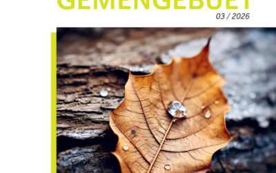 Gemengebuet / Bulletin communal n° 3/2026