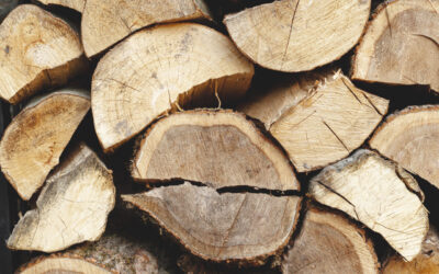 Brennholz-Stee mat Liëtsch | Vente aux enchères de bois de chauffage – 13.06.2026