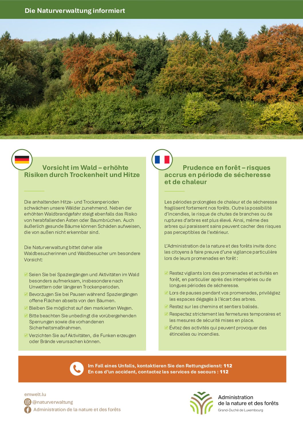Prudence en forêt – risques accrus en période de sécheresse et de chaleur