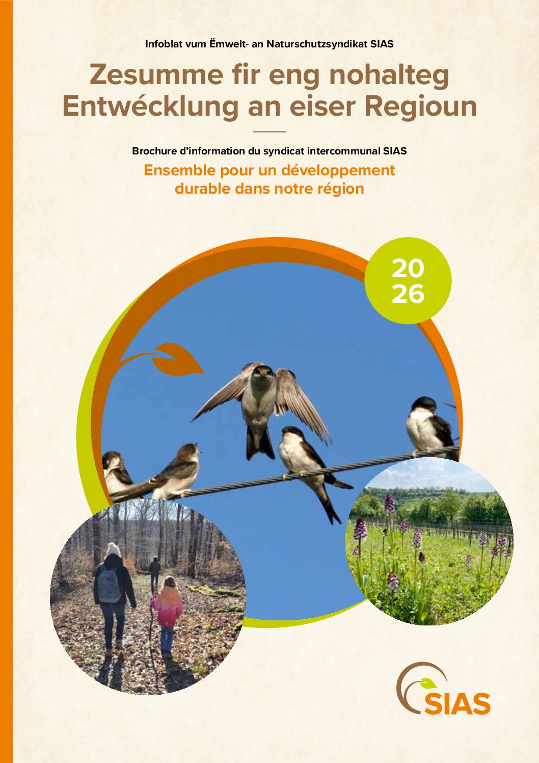 SIAS-Infoblatt 2026